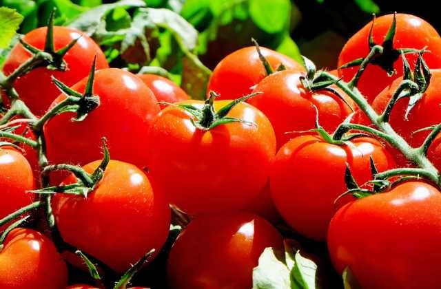 Health Benefits of Tomato in Hindi