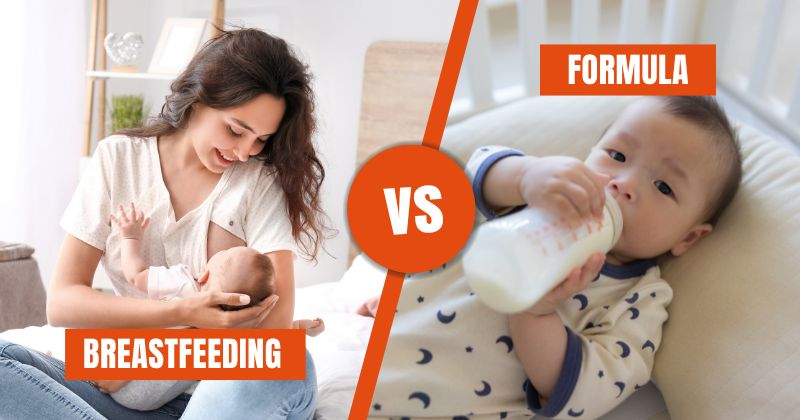 Breastfeeding vs Formula