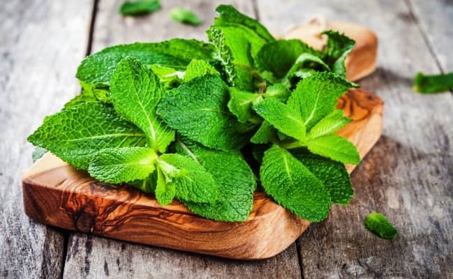 पुदीना - Brain Booster Food