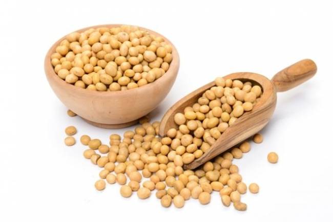 rich calcium food