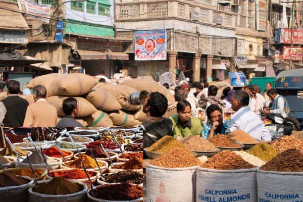 Facts About Delhi in Hindi