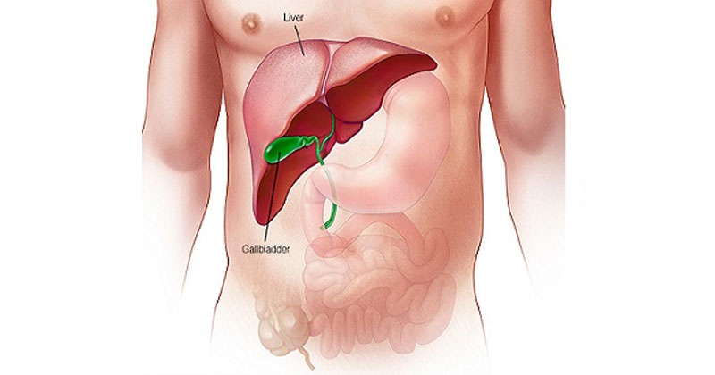 Fatty Liver Symptoms in Hindi