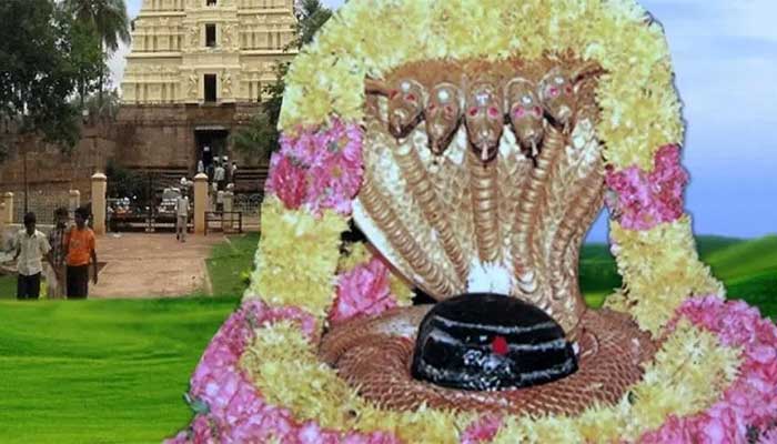 मल्लिकार्जुन | Mallikarjuna | 12 jyotirlinga list