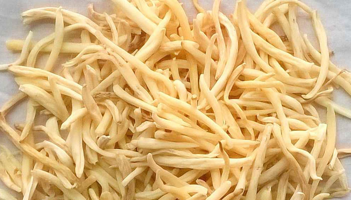 musli safed