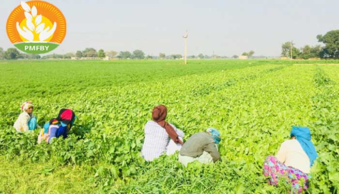 pradhan mantri fasal bima yojana 