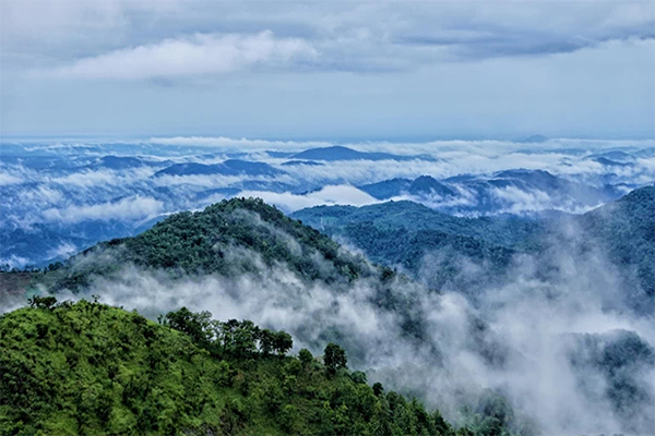 Wayanad - kerala me ghumne ki jagah