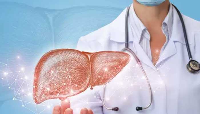 liver