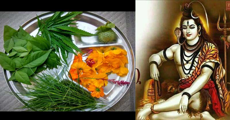 solah somvar vrat vidhi