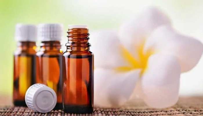 wheat germ oil benefits cholesterol