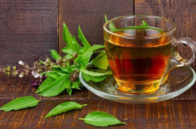 Benefits of Basil Tea | Basil Tea Recipe in Hindi