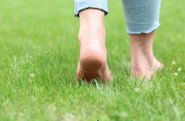 Benefits of Walking on Grass in Hindi
