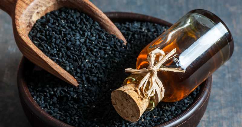 Black Seed Oil Benefits