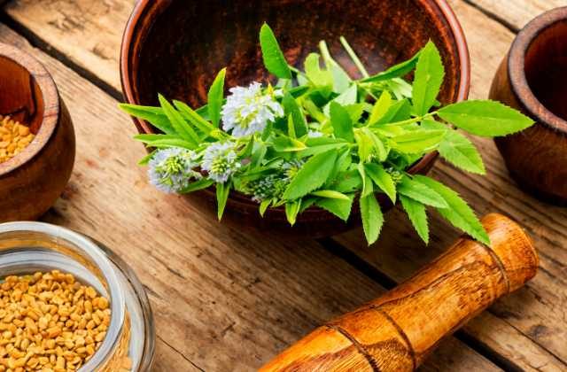 Benefits of Fenugreek on Hair in Hindi