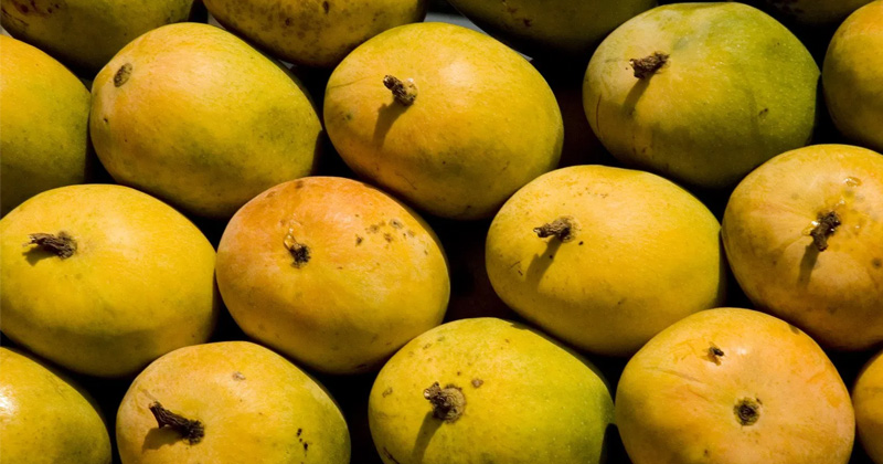 Tips to Identify Chemically Ripened Mangoes