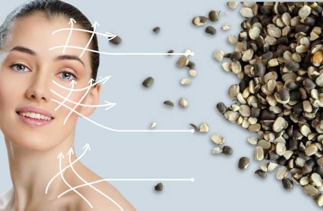Urad Dal For Skin