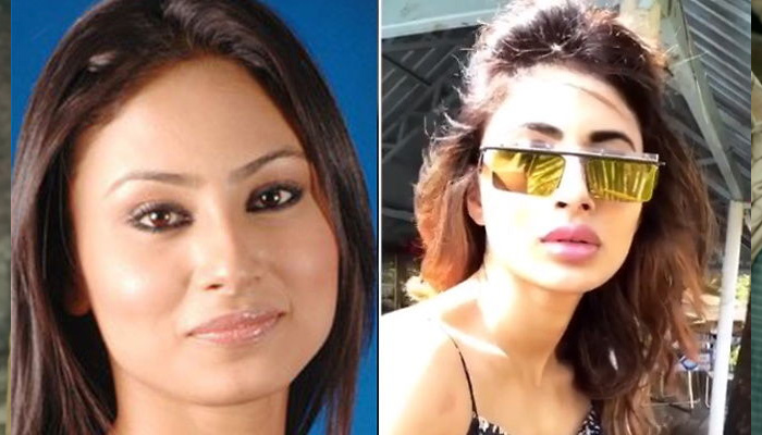 TV Actress who did Plastic Surgery: प्लास्टिक सर्जरी के बाद बदला इन टीवी...