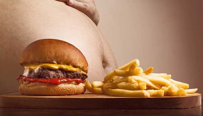 cholesterol & Fat Food