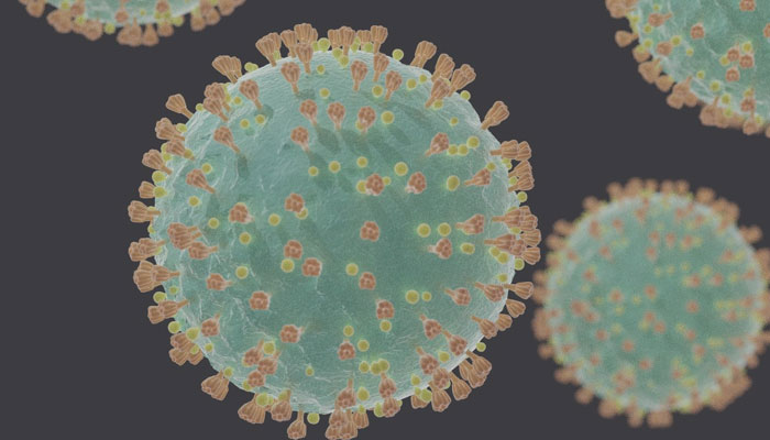 coronavirus case in oberoi springs