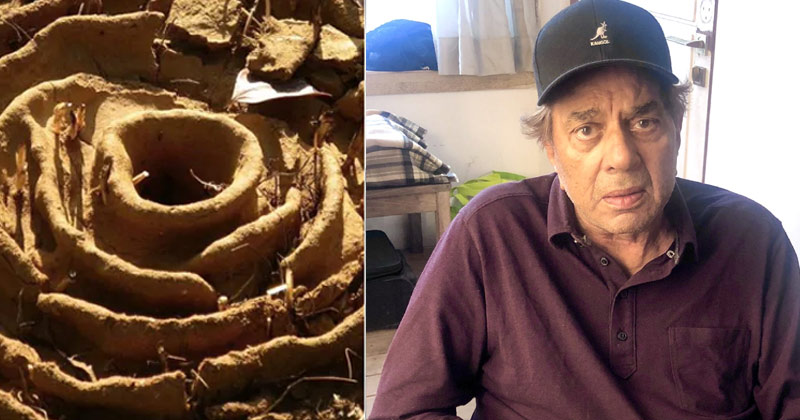 Dharmendra Shares Castle photo Built by Ants