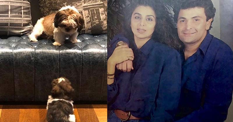 Neetu Kapoor Posts Pic Of Her Pets Dudley And Doodle