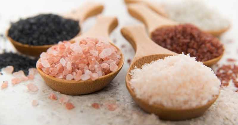 Different Types OF Salt In Hindi