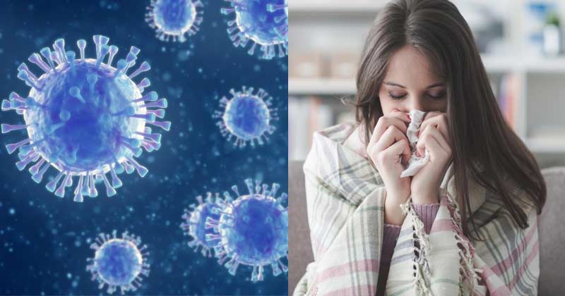 Difference Between Coronavirus And Flu Infection In Winters