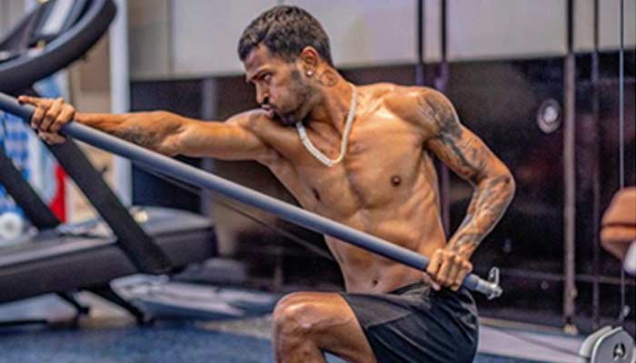 Hardik Pandya Share Pictures On Social Media