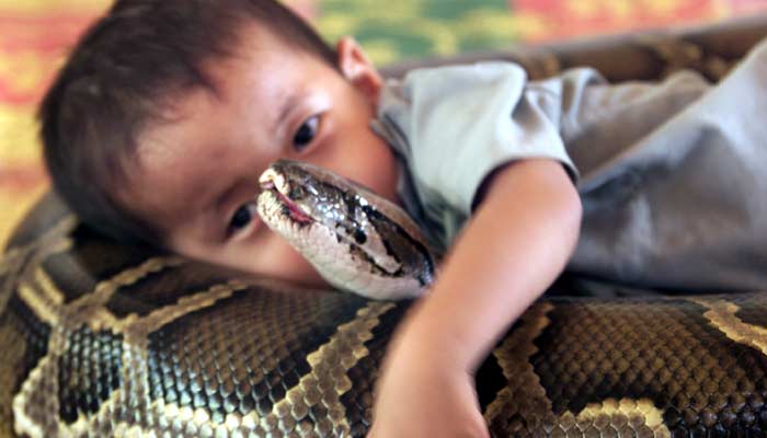 Oeun Sambat With Pyhtone - Unusual Family Pets