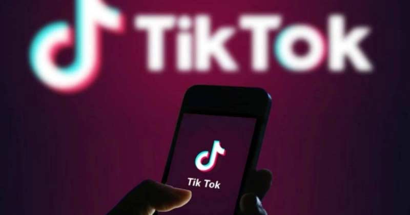 Softbank Partners Bid For TikTok Assets In India