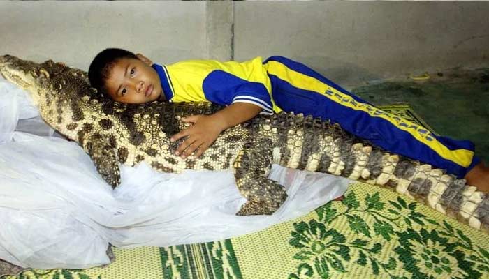 Wattana Thongjob -Unusual Family Pets