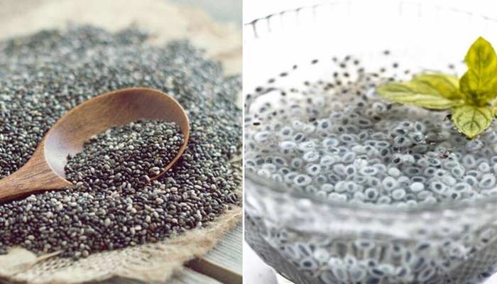 wordpress-chia-seeds-nutritional-value-seeds-benefits-basil