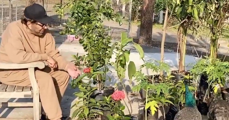 Dharmendra Friend Gifts Him Plants