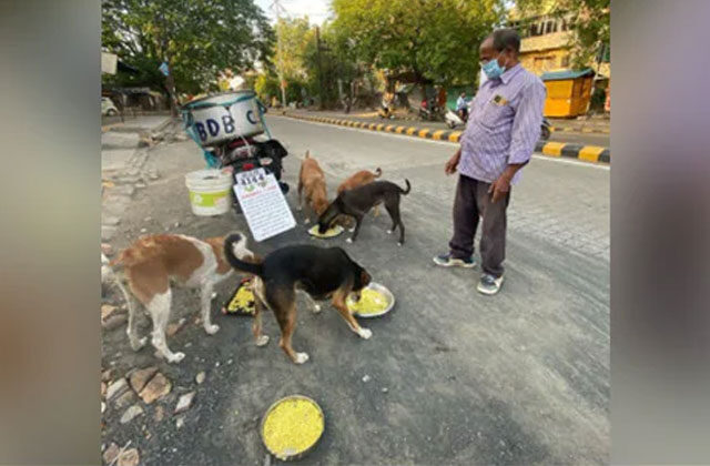 Man Feeding 150 Street Dogs Daily