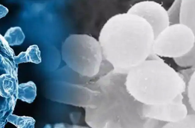 White Fungus Symptoms In Hindi