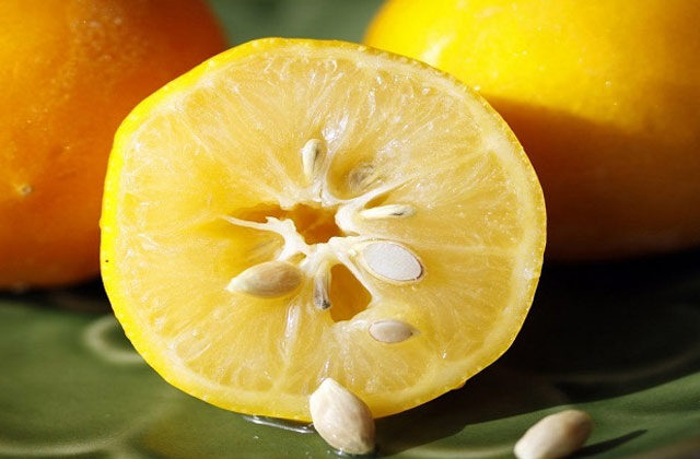 Nimbu Ke Beej Ke Fayde