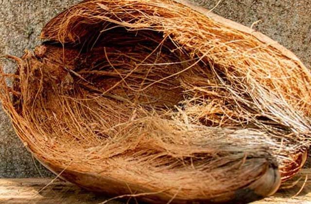 Nariyal Ke Chhilke Ke Fayde