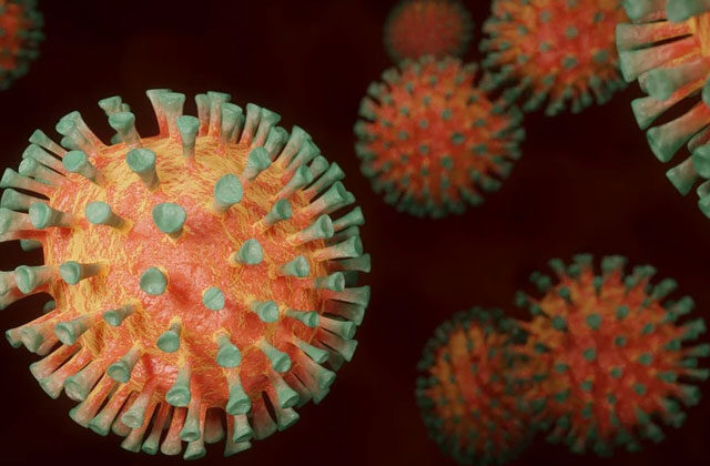 Coronavirus Variant IHU