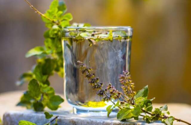 Tulsi Water Benefits In Hindi