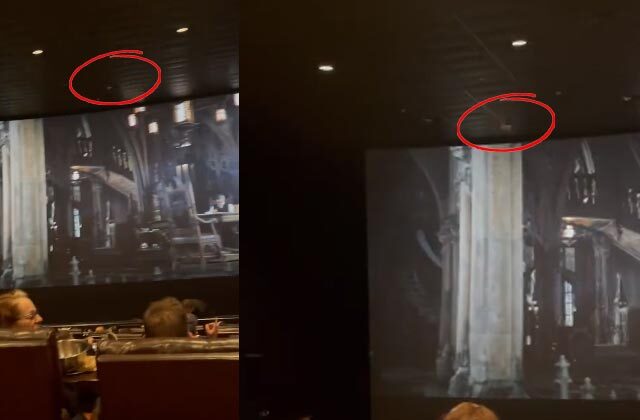 Real Bat Swoops Into ‘The Batman' Screening in Austin