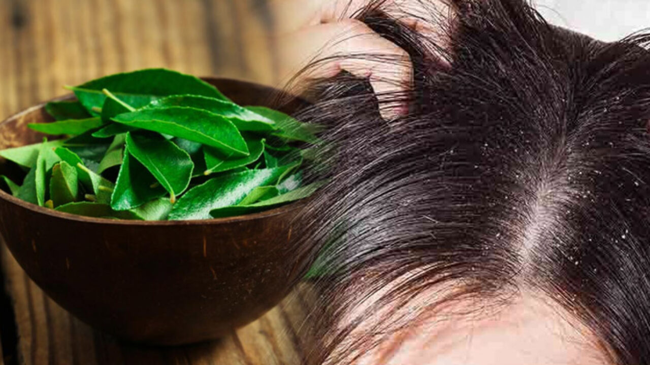 10 Benefits of Curry Leaves for Hair Growth