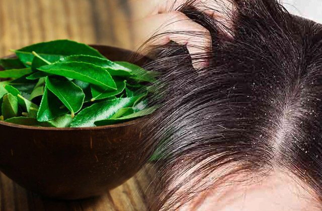 Benefits Of Curry Leaves For Hair In Hindi