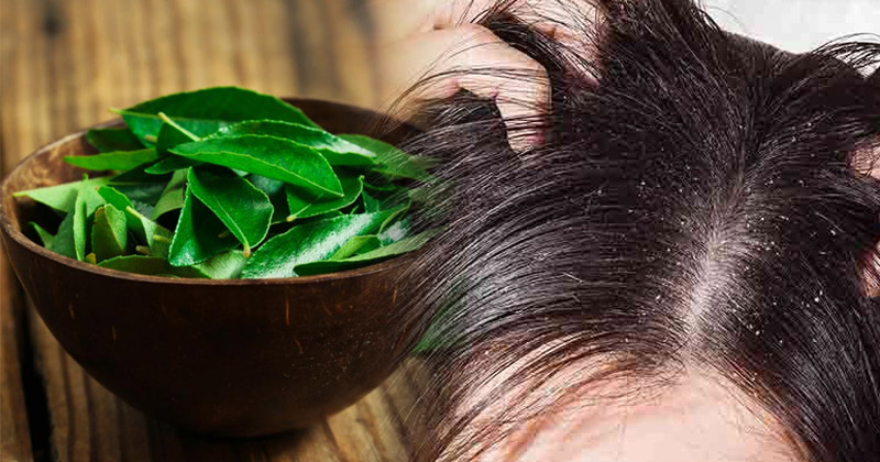 Benefits Of Curry Leaves For Hair In Hindi