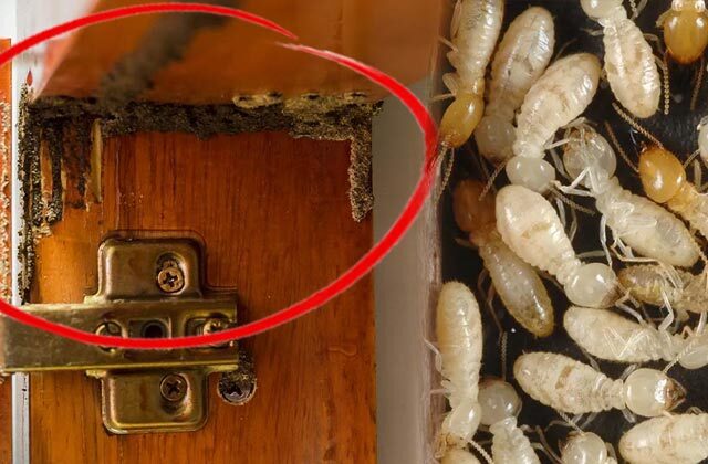 Khatmal Marne Ke Upay