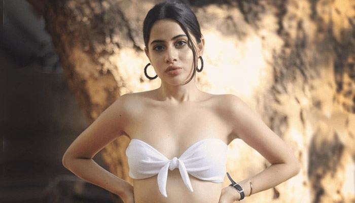 Urfi Javed Net Worth In Hindi