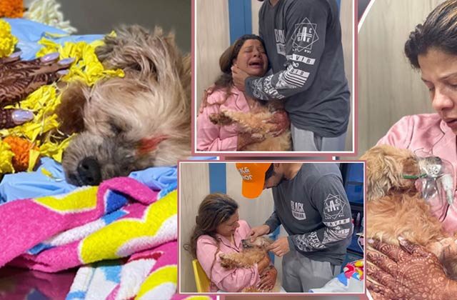 Sambhavna Seth's Dog Coco Passes Away