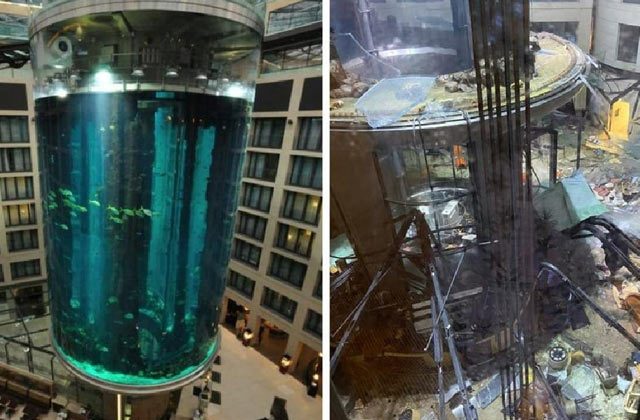 Huge Berlin aquarium with 1500 fish bursts
