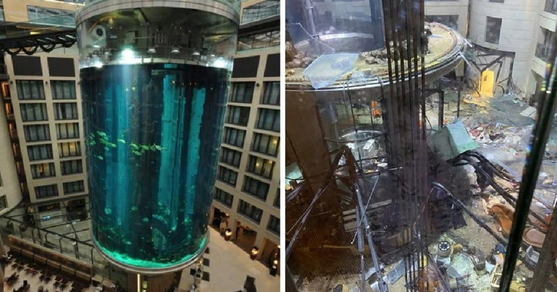Huge Berlin aquarium with 1500 fish bursts