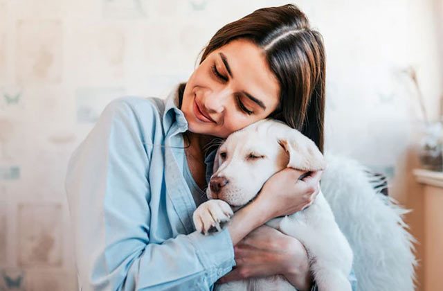 Dogs And Humans Relationship In Hindi