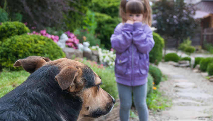 Cynophobia Symptoms In Hindi