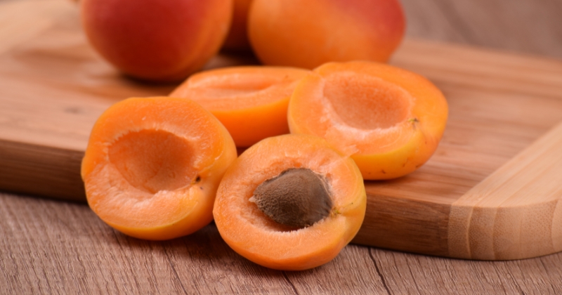 Benifits Of Apricot In Hindi